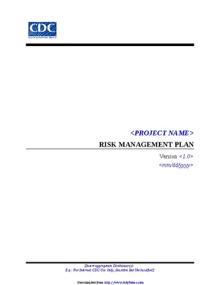 Forms risk-management-plan-template-1