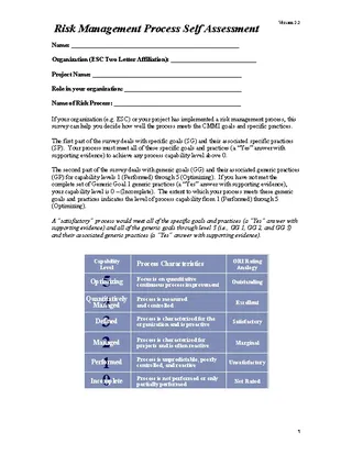 Forms Risk Management Self Assessment Template