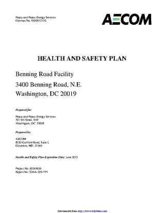 Safety Plan Template 2