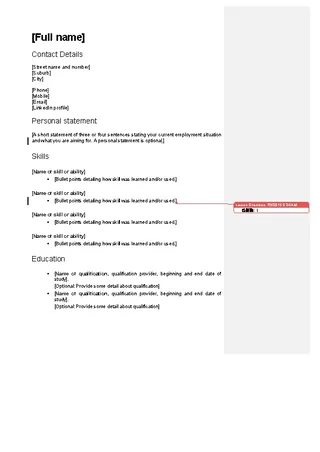 Skills Focused Cv Example