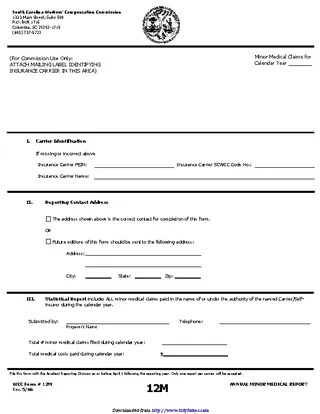 Forms South Carolina Annual Minor Medical Claims Form