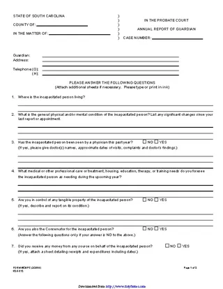 South Carolina Guardianship Form