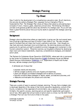Forms Strategic Plan Template 1