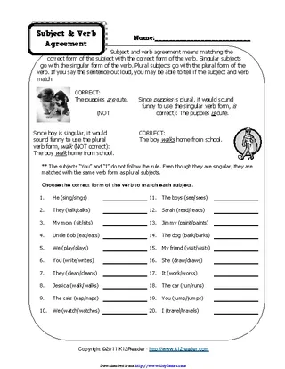 Forms Subject Verb Agreement Worksheets 3
