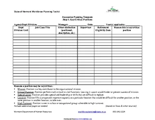 Forms Succession Planning Template 2