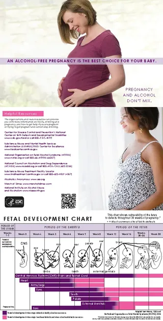 Forms Unborn Baby Growth Chart Template