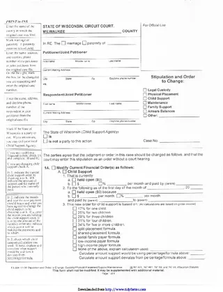 Forms Wisconsin Child Custody Form