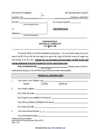 Wyoming Confidential Financial Affidavit Form