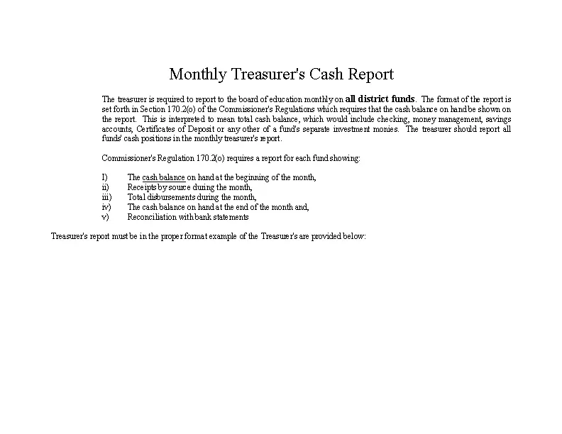 treasurer report template excel